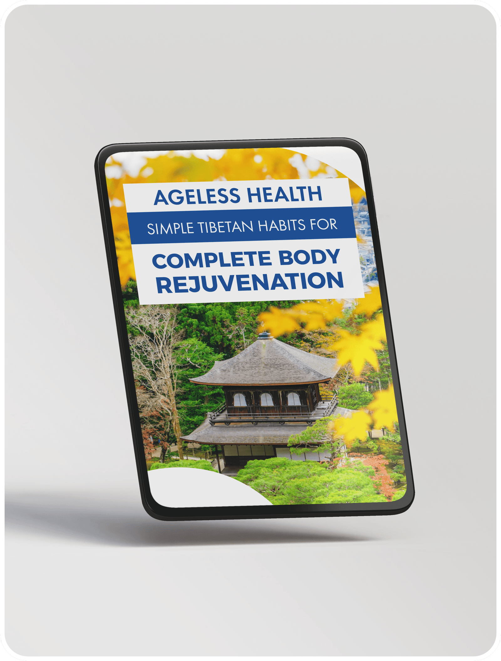 Nervovive bonus The Blood Sugar Blueprint