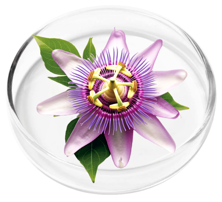 Nervovive ingredient Passion Flower