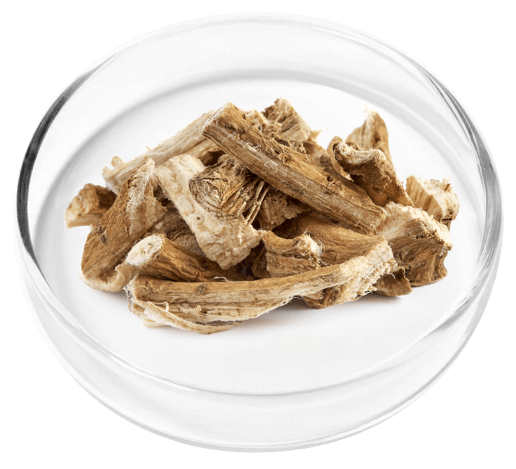 Nervovive ingredient Marshmallow Root