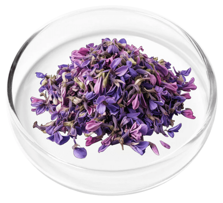 Nervovive ingredient Corydalis